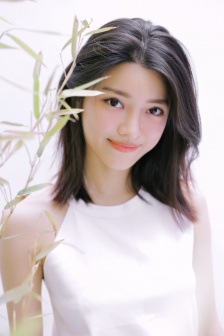 藏海花全集免费观看